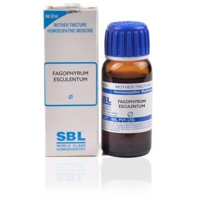 Buy SBL Fagophyrum Esculentum 1X ( Q )