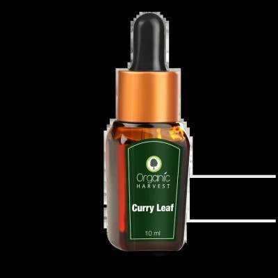 Buy Organic Harvest Curry leaf Essential Oil online United States of America [ USA ] 