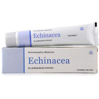 Buy Lords Echinacea Ointment