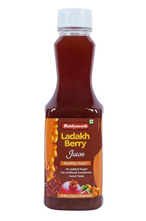 Buy Baidyanath Ladakh Berry Ready To Drink Juice