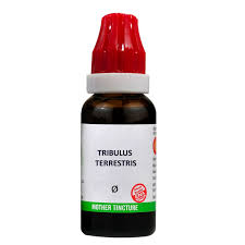 Buy B Jain Homeo Tribulus Terrestris Q