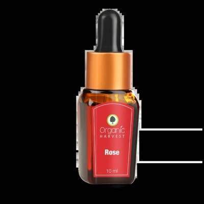 Buy Organic Harvest Rose Essential Oil online United States of America [ USA ] 