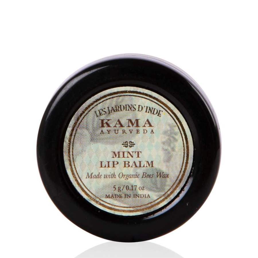 Buy Kama Ayurveda Mint Lip Balm, 5g online United States of America [ USA ] 