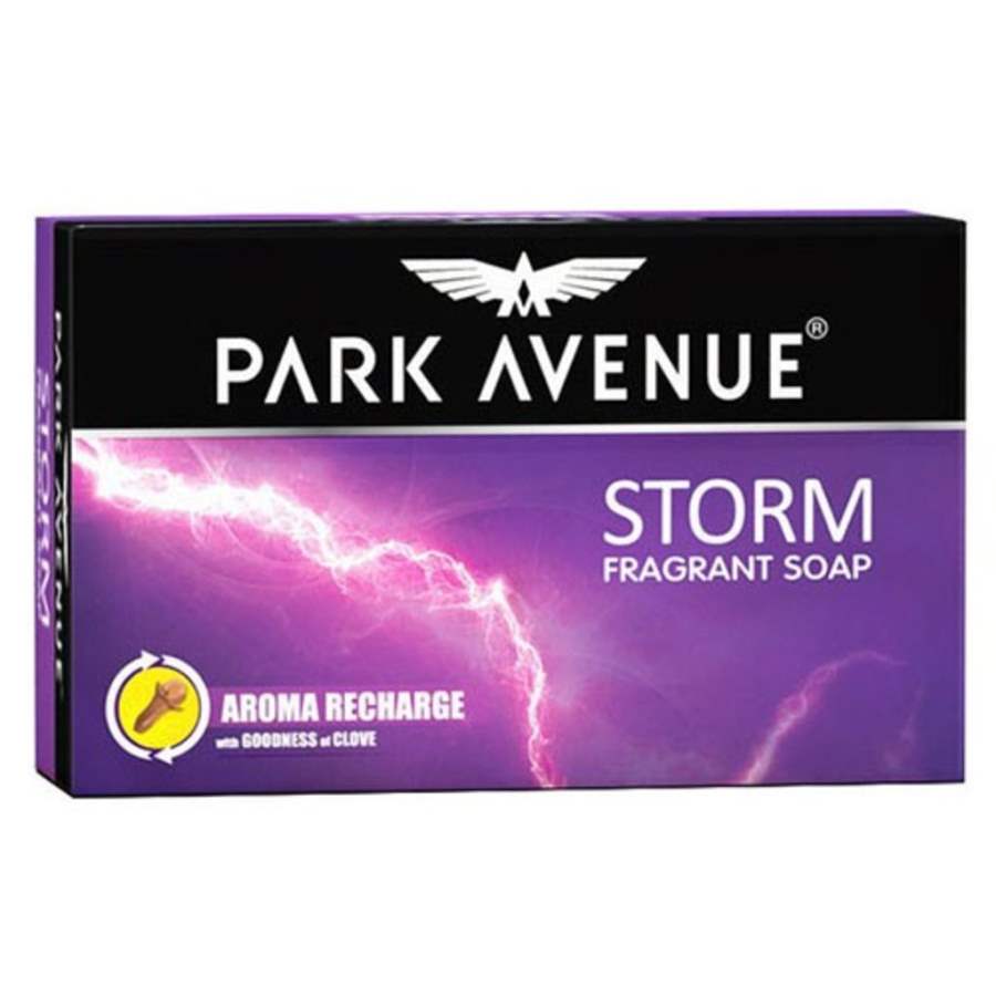 Buy Park Avenue Storm Soap