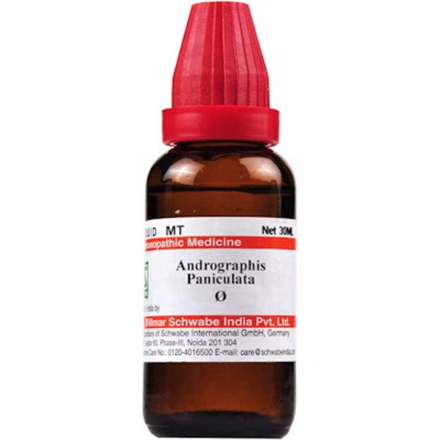 Buy Dr Willmar Schwabe Homeo Andrographis paniculata MT online usa [ USA ] 
