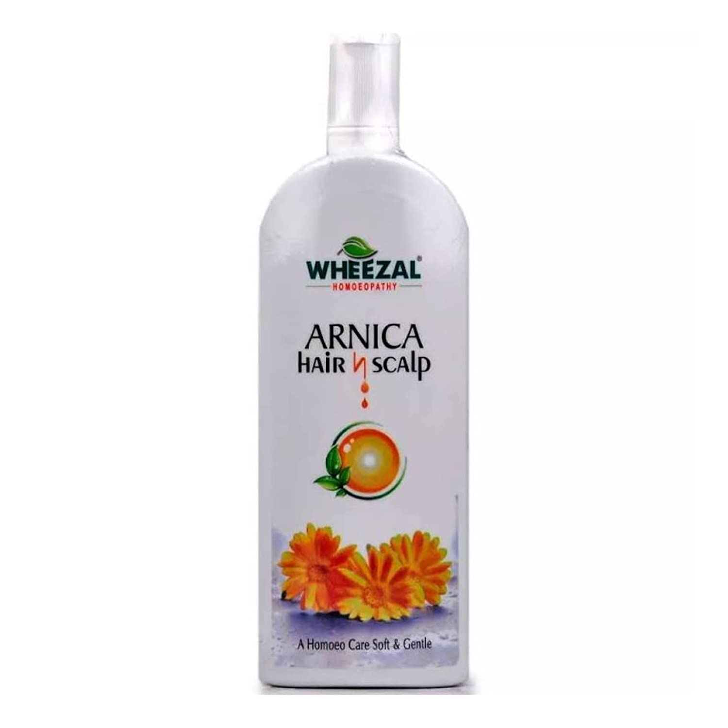 Buy Wheezal Arnica Hair and Scalp Shampoo online usa [ USA ] 