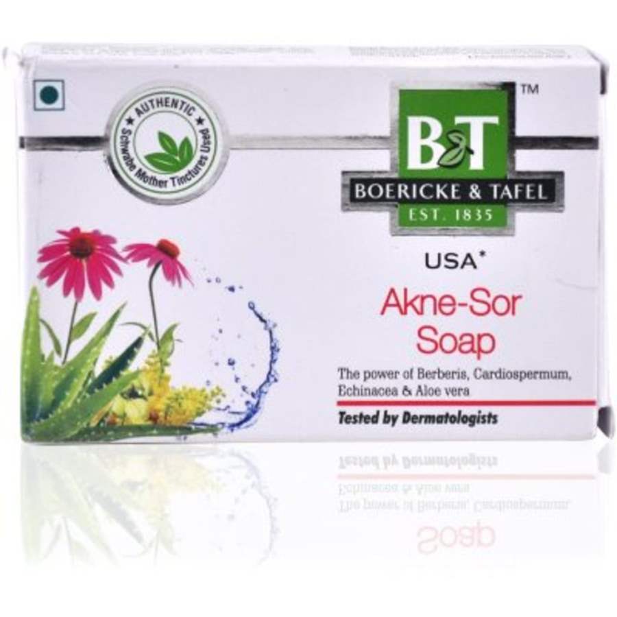 Buy Dr Willmar Schwabe Homeo B & T Akne - Sor Soap online United States of America [ USA ] 