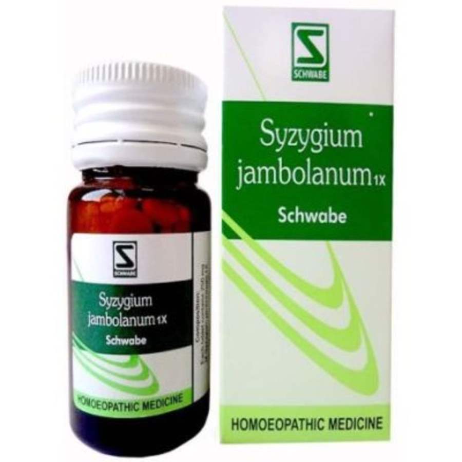 Buy Dr Willmar Schwabe Homeo Syzgium Jambolanum 1X Tablets